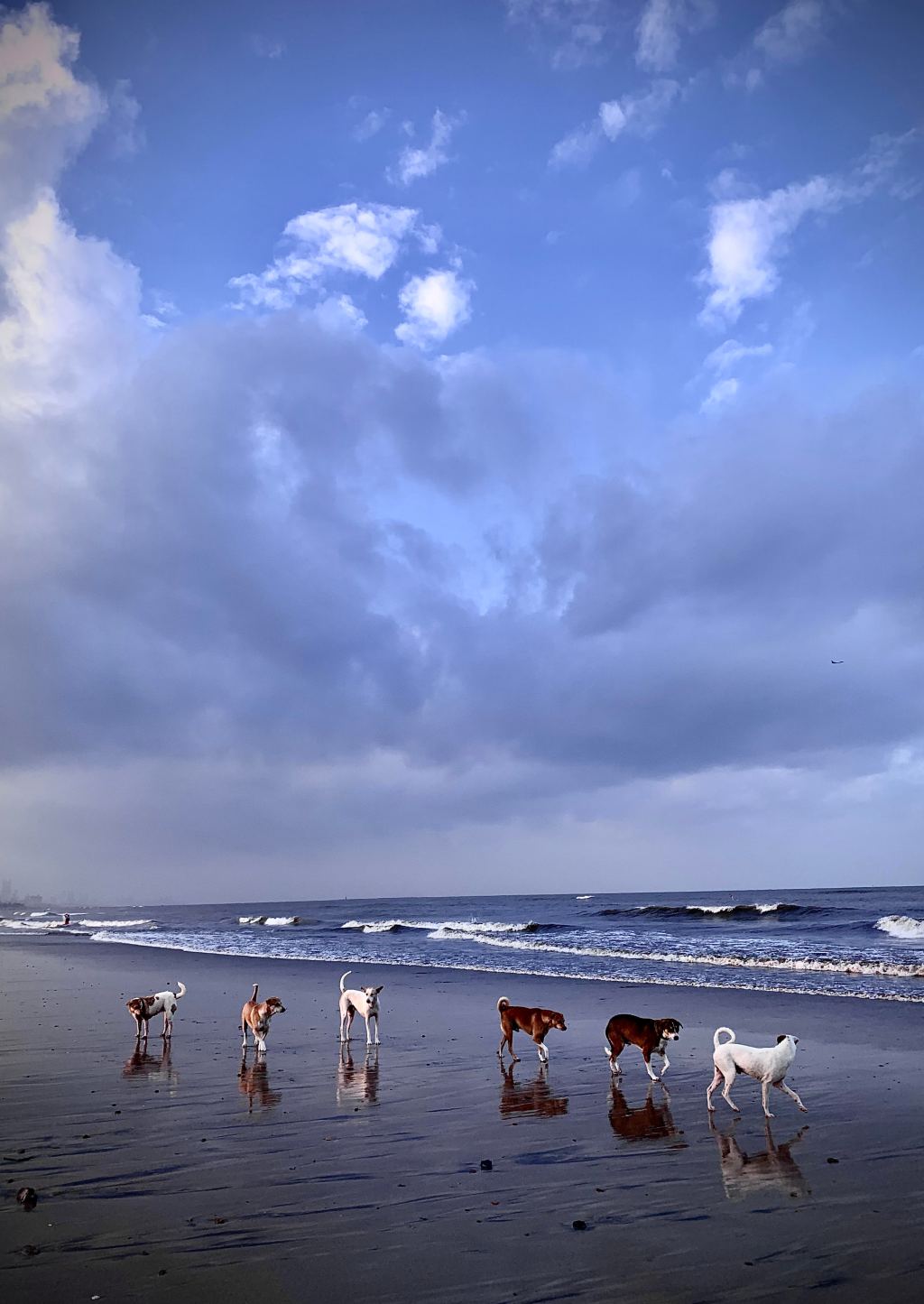 Ayahuasca Calling – Part 2