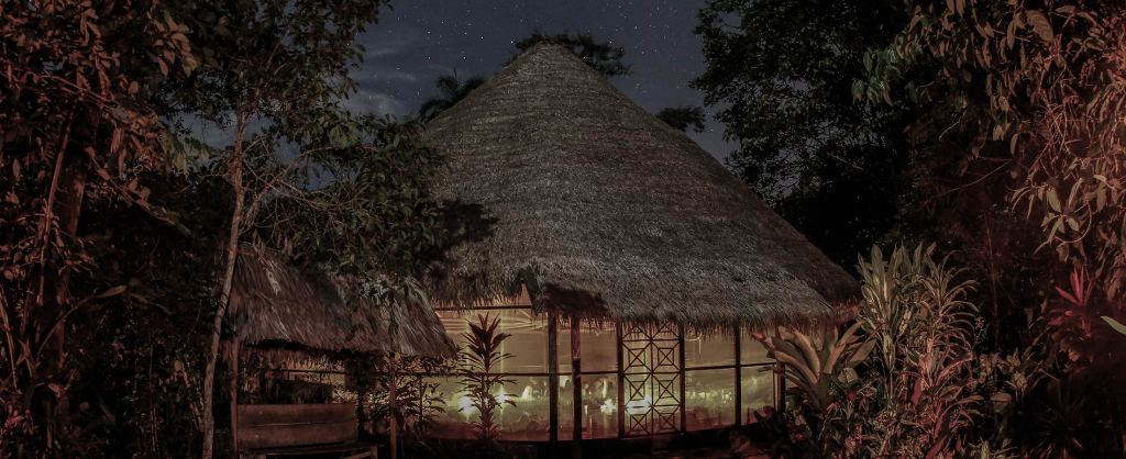 Ayahuasca Calling – Part 4